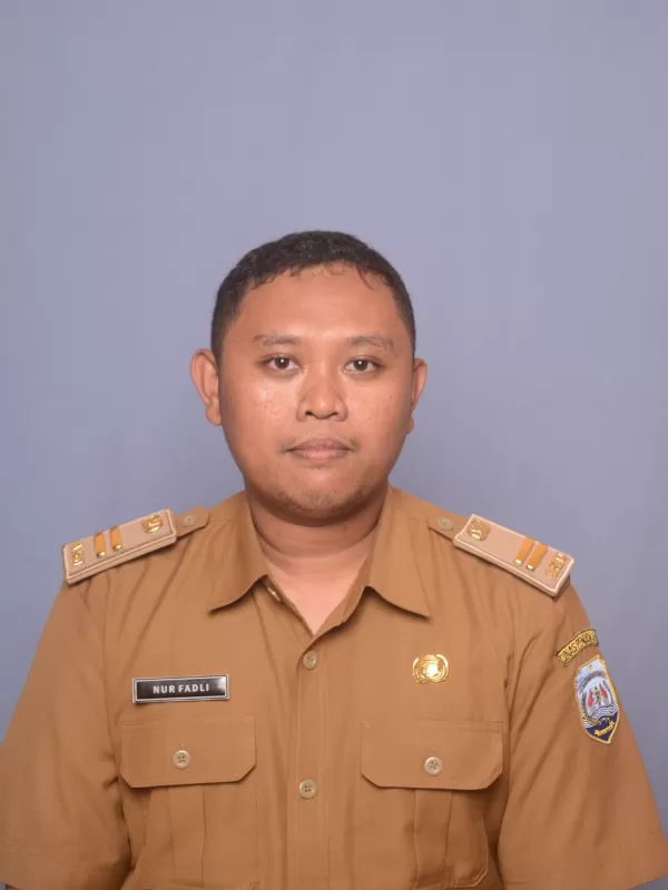 NUR FADLI, S.Pd